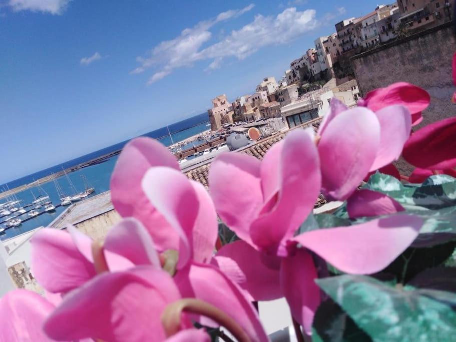 A 2 Passi Dal Castello ,Appartamento Con Veranda 카스텔라마레델골포 외부 사진